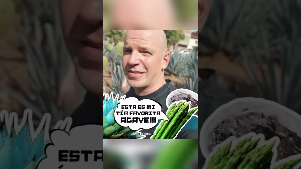 Погнали! Мексика, Текила!! 