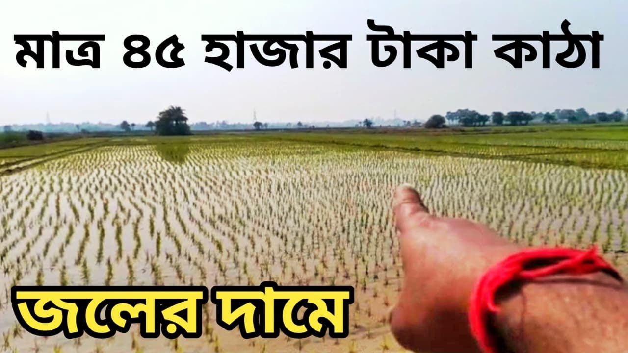 জলের দামে জমি