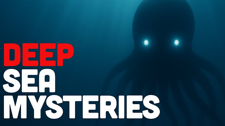 Deep Sea Intelligence and Mysteries Science Can't Explain | Ocean Mysteries to Fall Asleep To