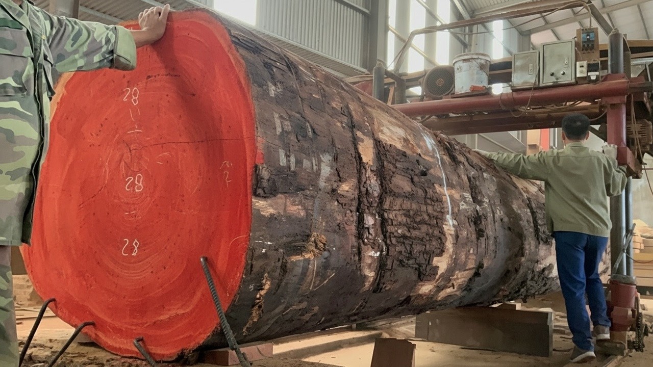 Extreme Sawmill Cutting | Woodworking Factory Process Giant Logs