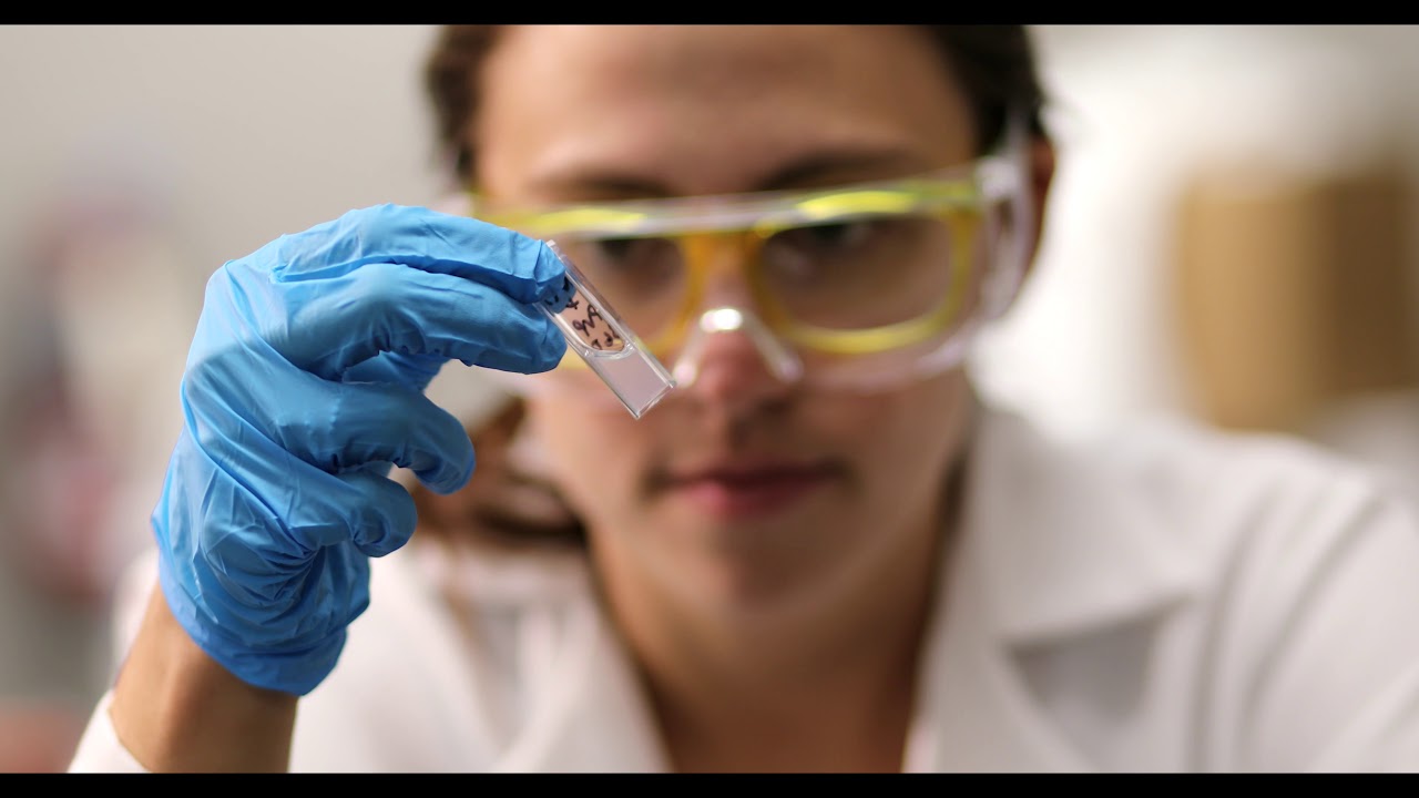 Developing Next Generation Materials For Chronic Wound Repair