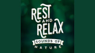 Bird Sounds