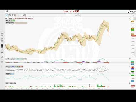 سهم أبو معطي 4191 هل يبدأ الانطلاقة المنتظرة