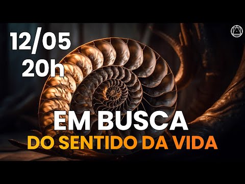 Em Busca do Sentido da Vida - Uma Visão Espiritual sobre a Existência ...