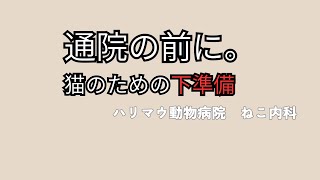 猫はできないんじゃない｜通院前に始める「ゲームトレーニング」 screenshot 2