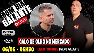 🚨AO VIVO🚨 GALO DE OLHO NO MERCADO