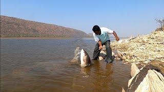 Amazing big sizes Rohu fishes catching|beautiful hill area| big fishes catching with feeder