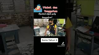 Eksperimen menguji objek yang timbul dan tenggelam | Sains Tahun 3