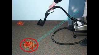 Traditional ways of bed bugs pest control
