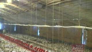 poultry cooling systems farm