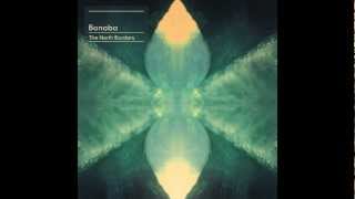 Bonobo - Antenna