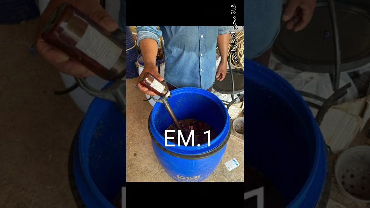 عرض مختصر لتجربة عمل سماد السمك لمزارع الخيرات