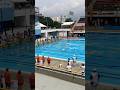 Sprint 4x50sf mixed #finswimming #swimming #nageavecpalmes #swim #monofin #sprint #relay