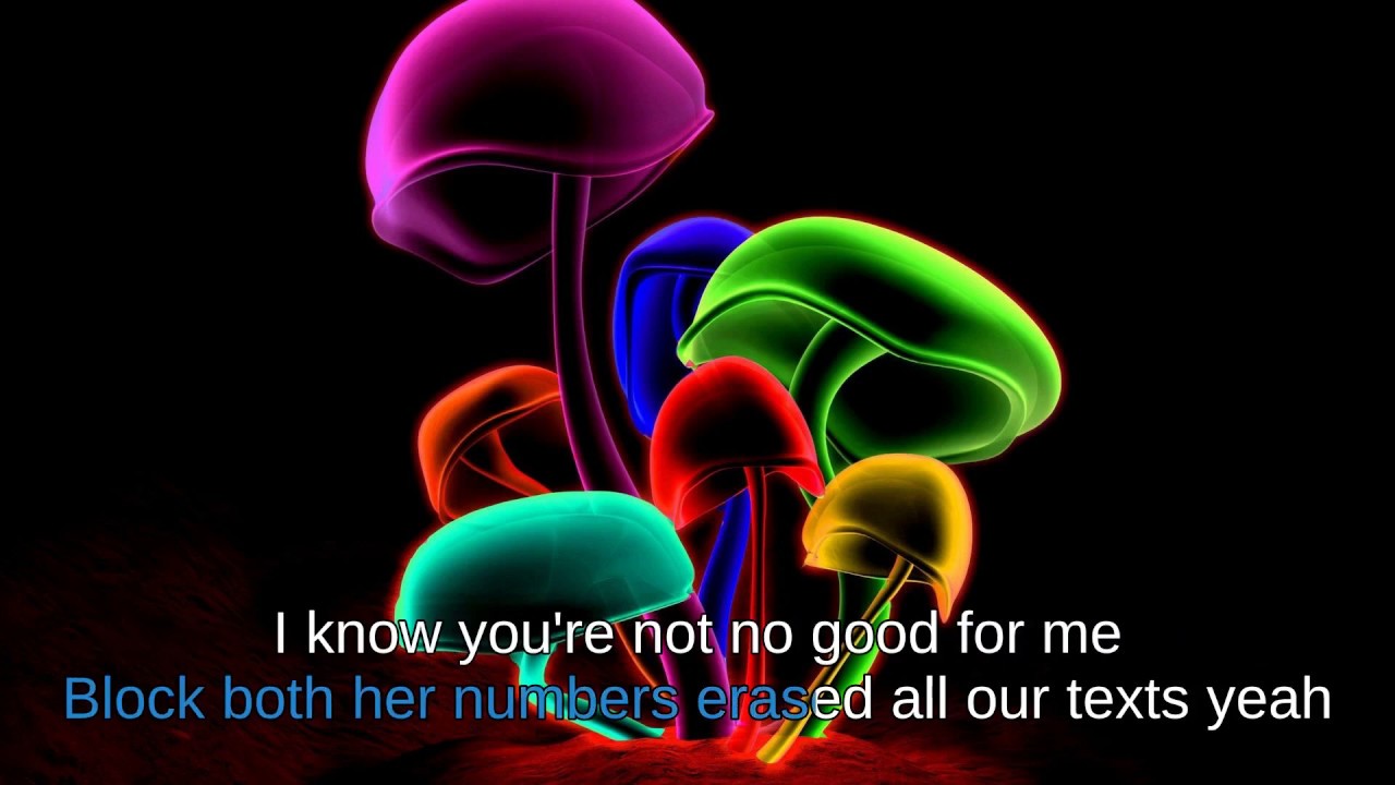 Rod Wave - Girl Of My Dreams Karaoke Version