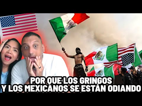 POR QUE LOS GRINGOS Y LOS MEXICANOS SE ESTAN ODIANDO #mexico #estadosunidos
