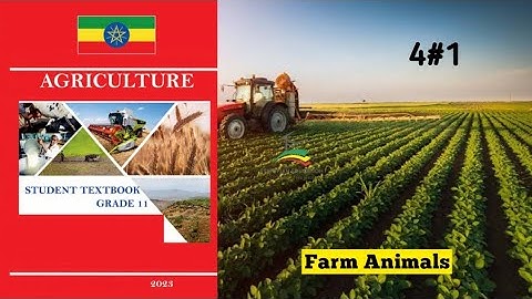 Ethiopian Grade 11 Agriculture 4#1 Farm Animals