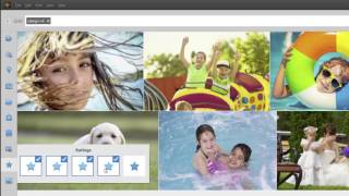 Celebrity Organize Photos Digitally with Photoshop Elements 15 and Premiere Elements 15 Net Worth