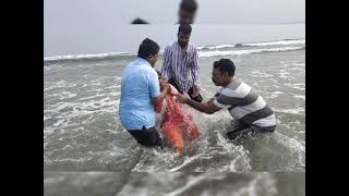 11-12-2024 || C. S. M. CHURCH Baptism Program