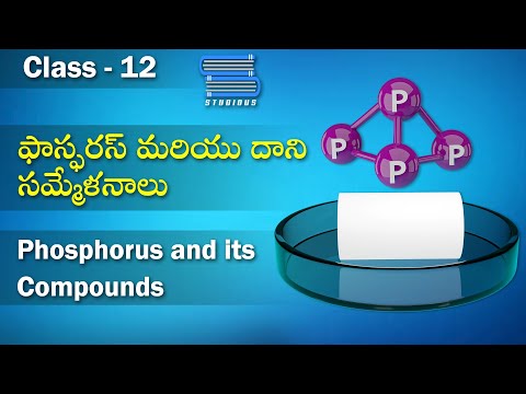ఫాస్ఫరస్ మరియు దాని సమ్మేళనాలు – Phosphorus and its compounds | Chemistry | Class 12 | 2nd Year