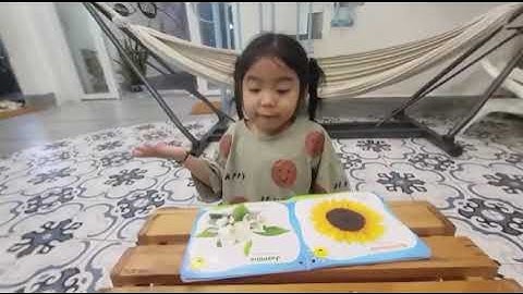 Tiếng Anh Giao Tiếp Thiếu Nhi Tiaij Phan Thiết: Mia talking about Flowers