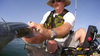 Lake Lanier Striper Kayak Fishing Fun!