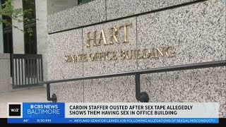 Xxx Zaklin Video - Senate Staffer Allegedly Caught Filming Gay Porn In Capitol Building