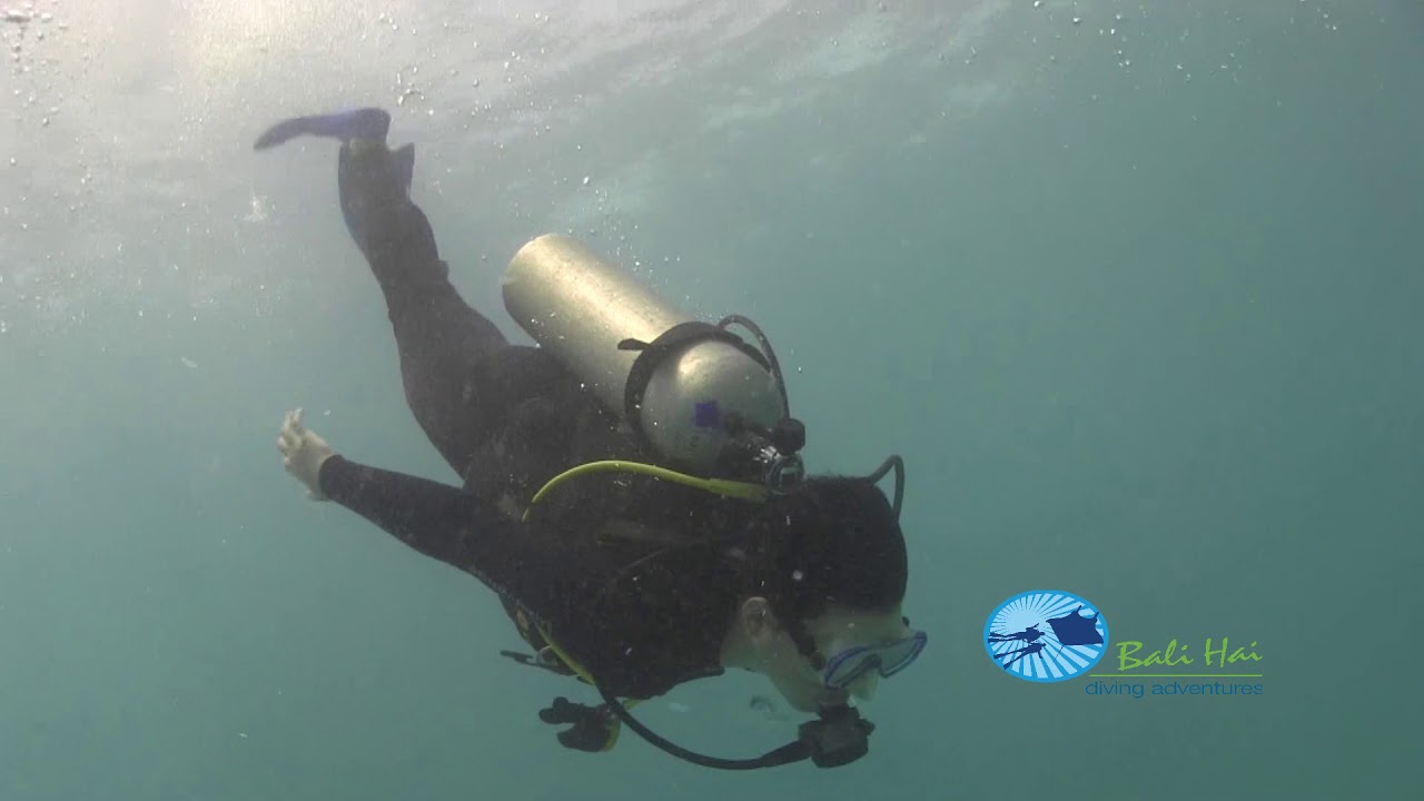 Beginner Scuba Diving at Nusa Lembongan, Bali YouTube