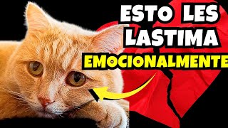13 ERRORES que DAÑAN EMOCIONALMENTE a tu GATO by Mascotas Sanas Y Felices 6,156 views 3 months ago 11 minutes, 11 seconds