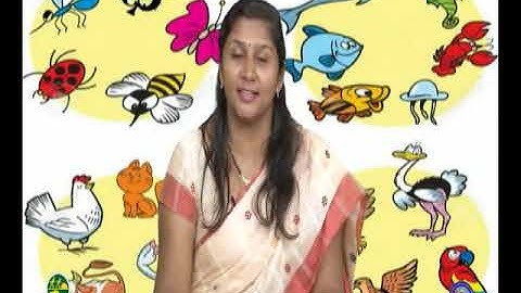 VCP-std8-sem2-Unit3-Epi-15(43)-Act11(A,B)-06022017