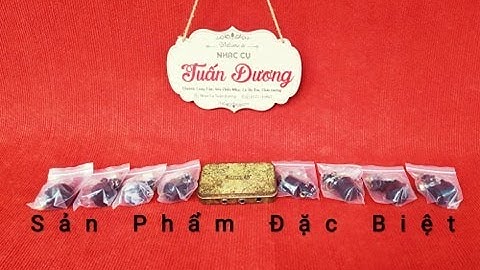 Mặt Hàng Đặc Biệt - 1 Ngày Đặc Biệt || Nhạc Cụ Tuấn Dương- 0987293285