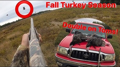Double Turkeys in the Air! (Fall Turkeys)