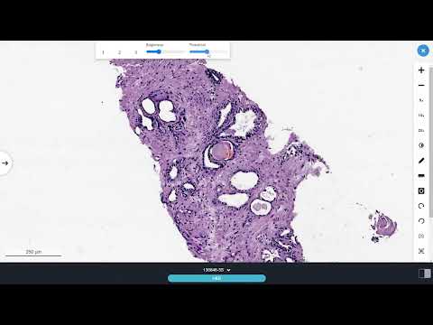 Functionality of the UNIM Digital Pathology platform