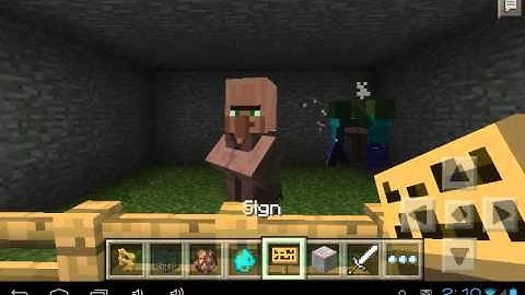 Minecraft Villager Killer