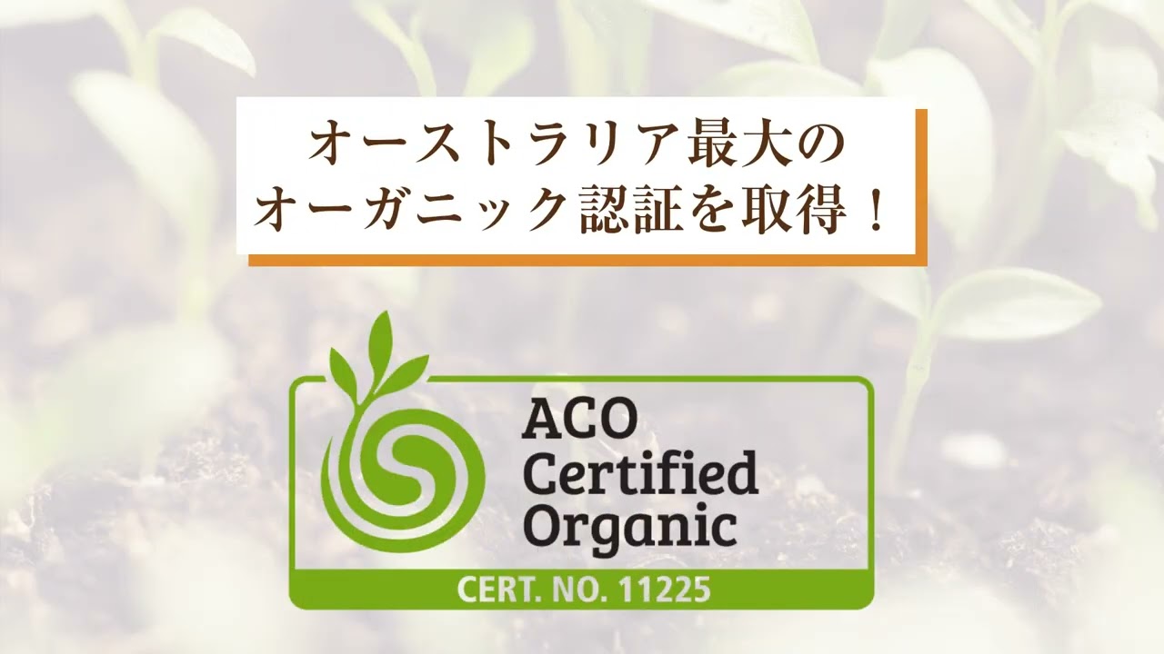 【ユートピア様】専用・赤/緑、各360g≪フォロー割特価≫ AuFloras SPRINGFIELDS ピュアオイル アルガン - 横浜油脂工業