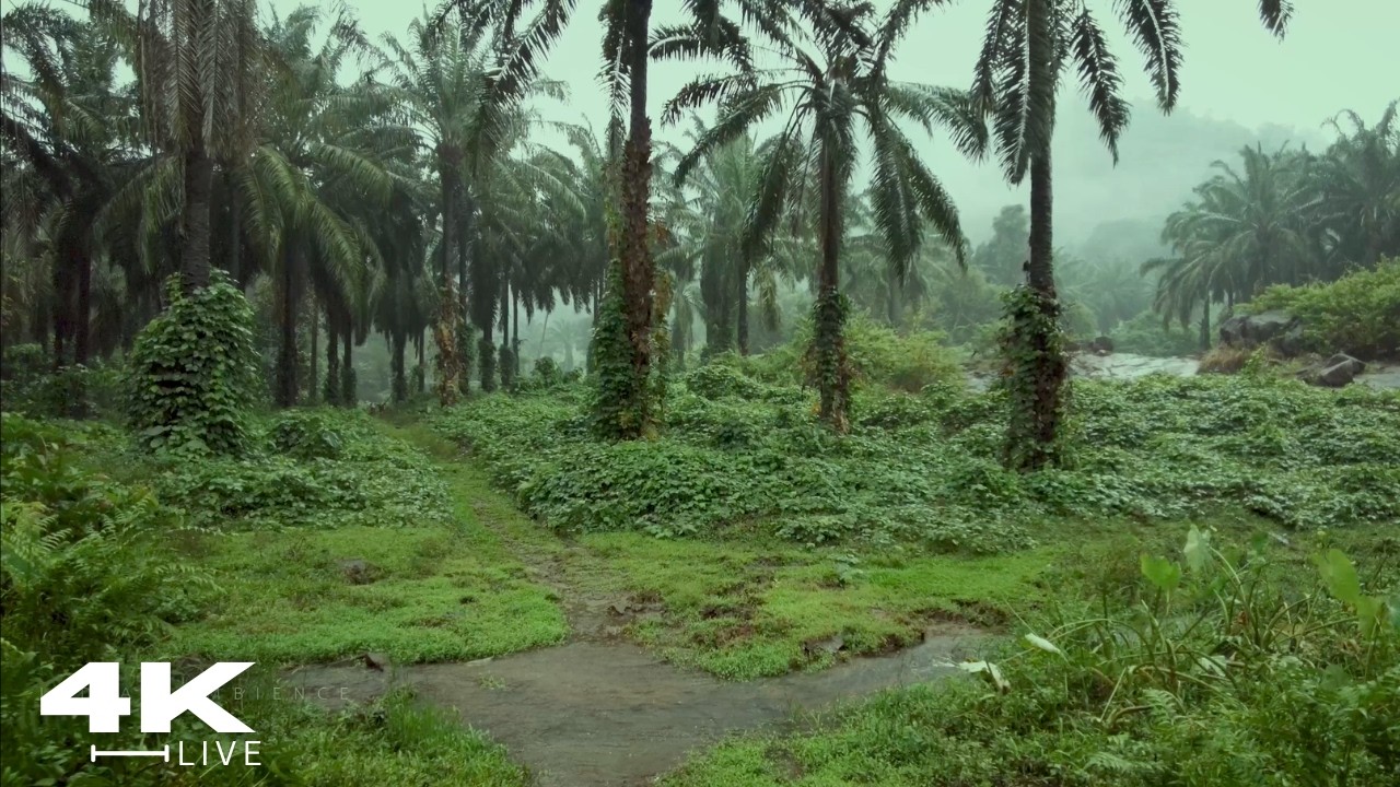 Beautiful Calm Village with Rain: Relaxing Walk Compilation | Study With Me: ASMR Calm Walk Ambience