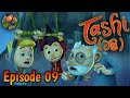 Tashi episode 09  09  sinhala cartoon tv derana 20240208