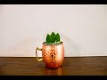 MOSCOW MULE COCTEL