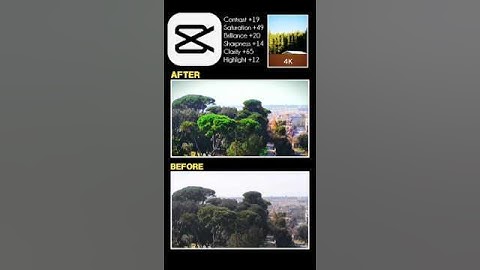 Capcut 🥰 Trending Colour Grading 👑 Tutorial #colourgrading