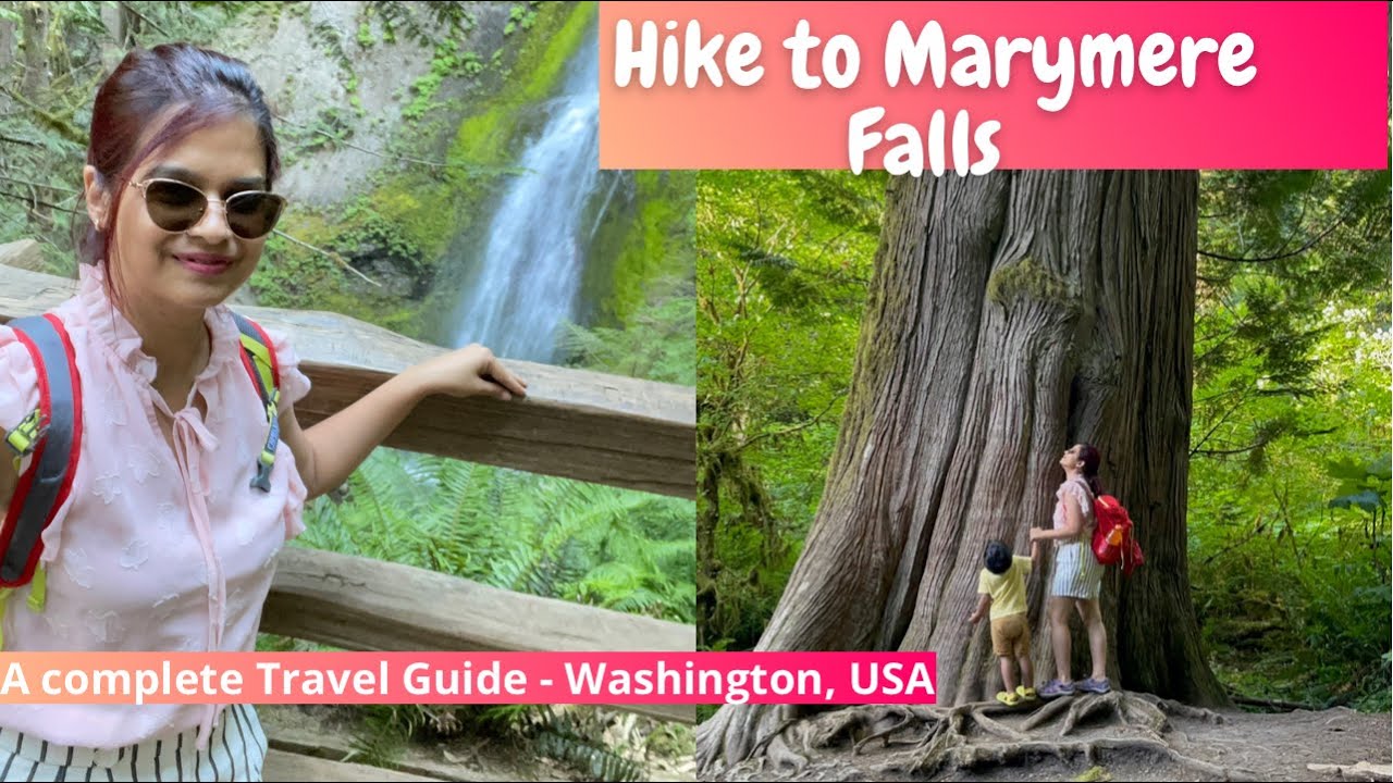 Family Friendly Hike in Olympic National Park  |Best Hike With Toddler | MaryMere Falls | WA
