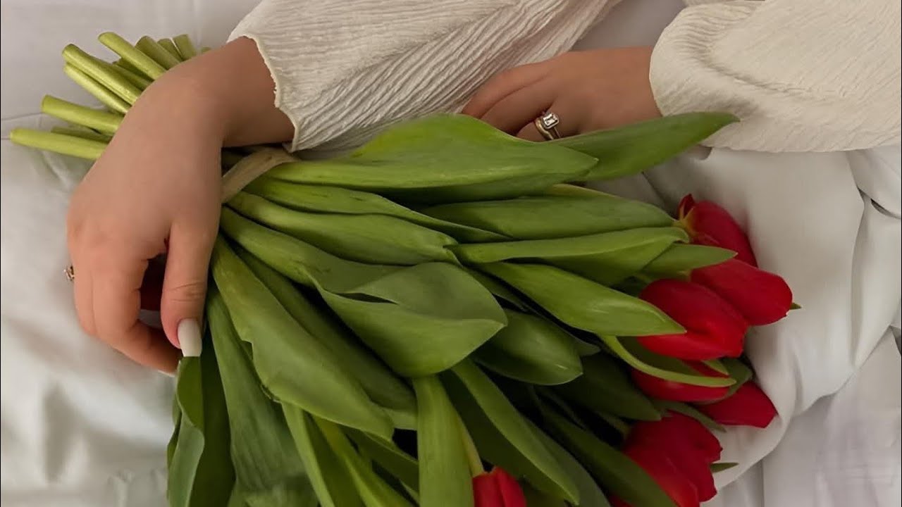 صباااااح الخيرااات  ❤️🫶