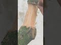Air Layering a Large Water Apple Tree Using a Recycled Water Jug #airlayering #satisfying #shorts