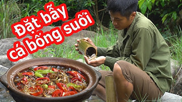 Foods For Life - Fish trap cooking and eating delicious - Bẫy cá bống suối ẩm thực đồng quê