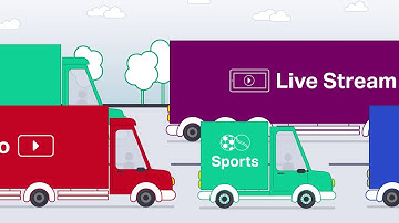 Ciena – Networks explained