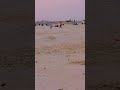 look at that #virlvideo