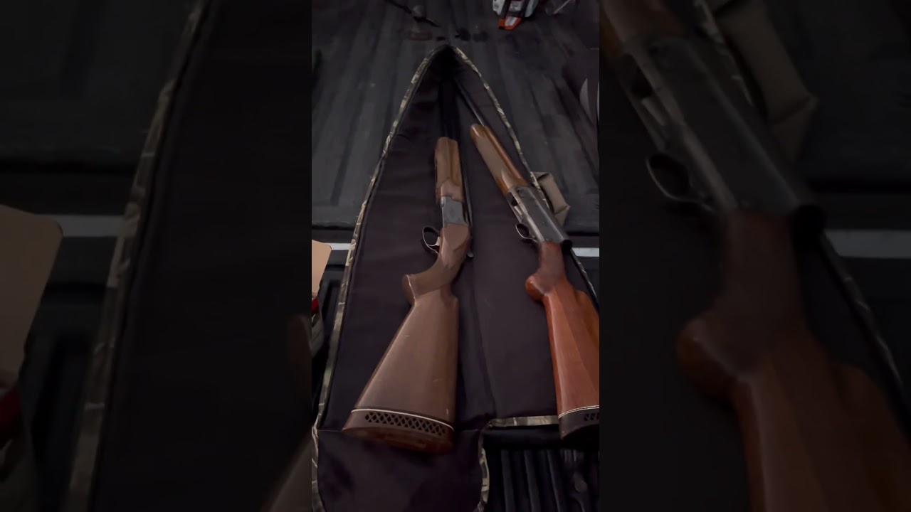 Dove Hunting early morning November 15th 2024