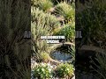 Soundscapes for Sustainable Gardens