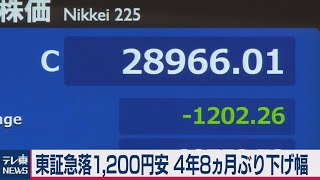 日経平均株価1,200円超安 ４年８ヵ月ぶりの下げ幅（2021年2月26日）