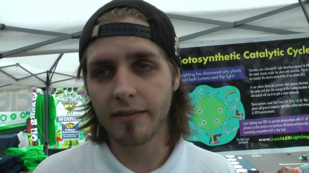 Seattle Cannabis Cup - Session