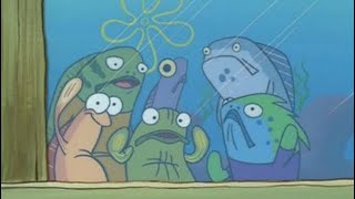 Hey Spongebob’s Back! | Spongebob clip