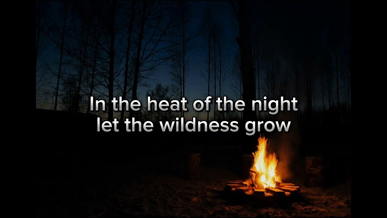 Midnight Fire Xxxbillyturtle (Official Lyric Video)